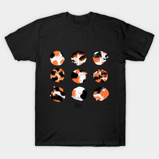 Kat Koi T-Shirt